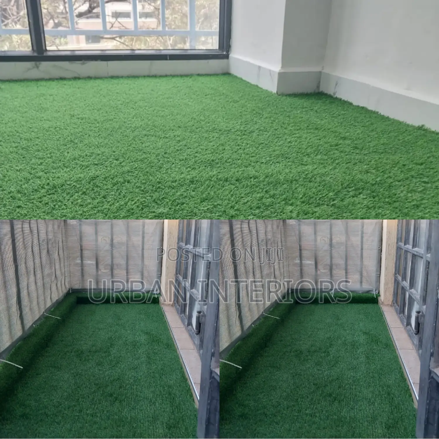 Grass Carpet Grass Carpet Grass Carpet Grass Carpet
