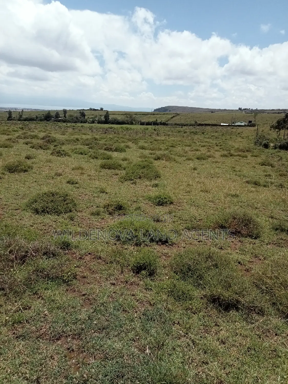 Plots on Sale at Longonot Naivasha Going for J
