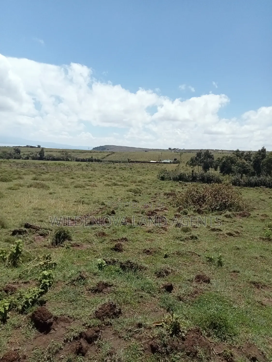 Plots on Sale at Longonot Naivasha Going for J