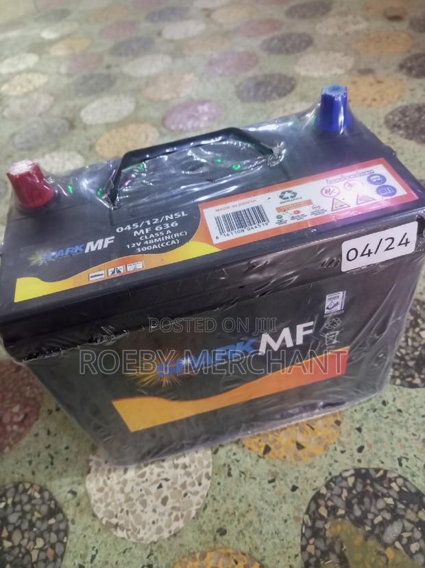 Maintenance Free Car Battery N40