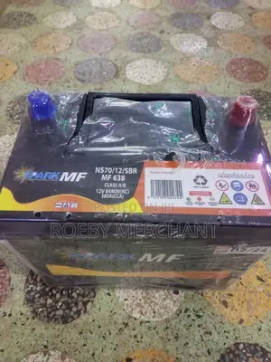 Car Battery NS70
