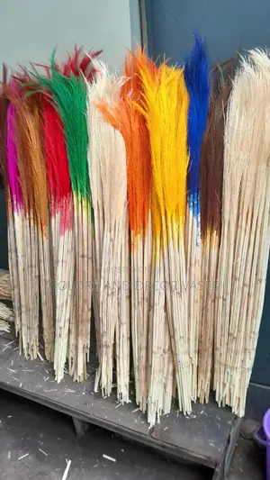 Pampas Grass Colors Available