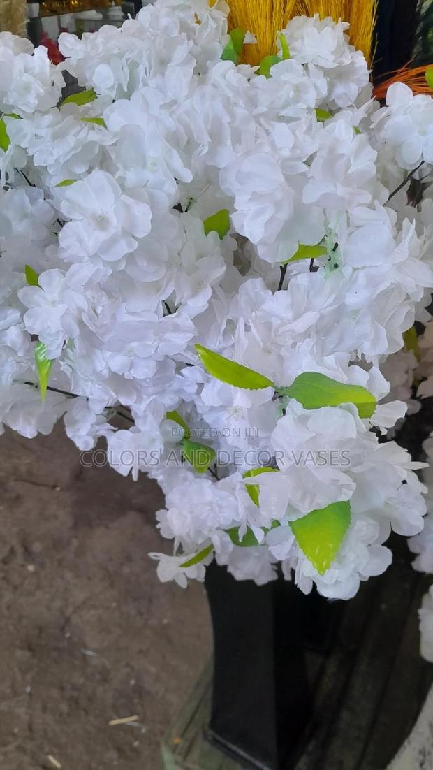 Cherry Blossom White