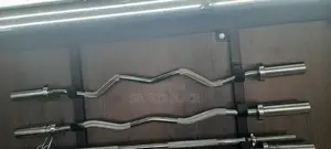Olympic EZ Curl Bar