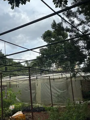 Four Way Foggers for Greenhouse Irrigation and Mist Cooling.