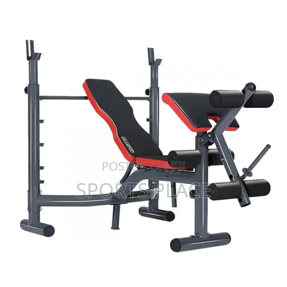 Multifunctional Bench With Preacher Curl and Leg Extensions