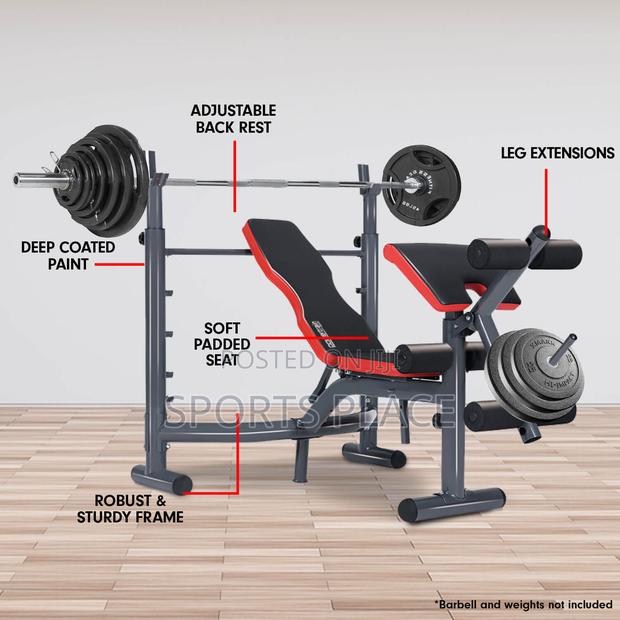 Multifunctional Bench With Preacher Curl and Leg Extensions - thumbnail 2