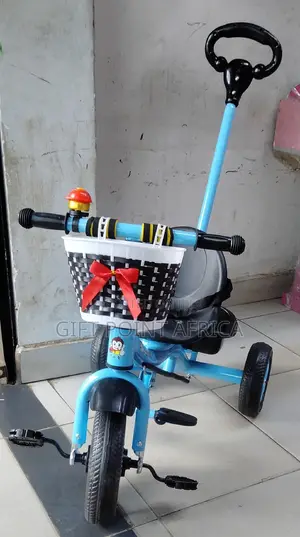 Blue Push Handle Kids Triacycle