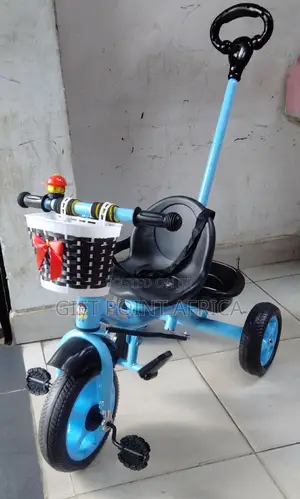 Blue Push Handle Kids Triacycle