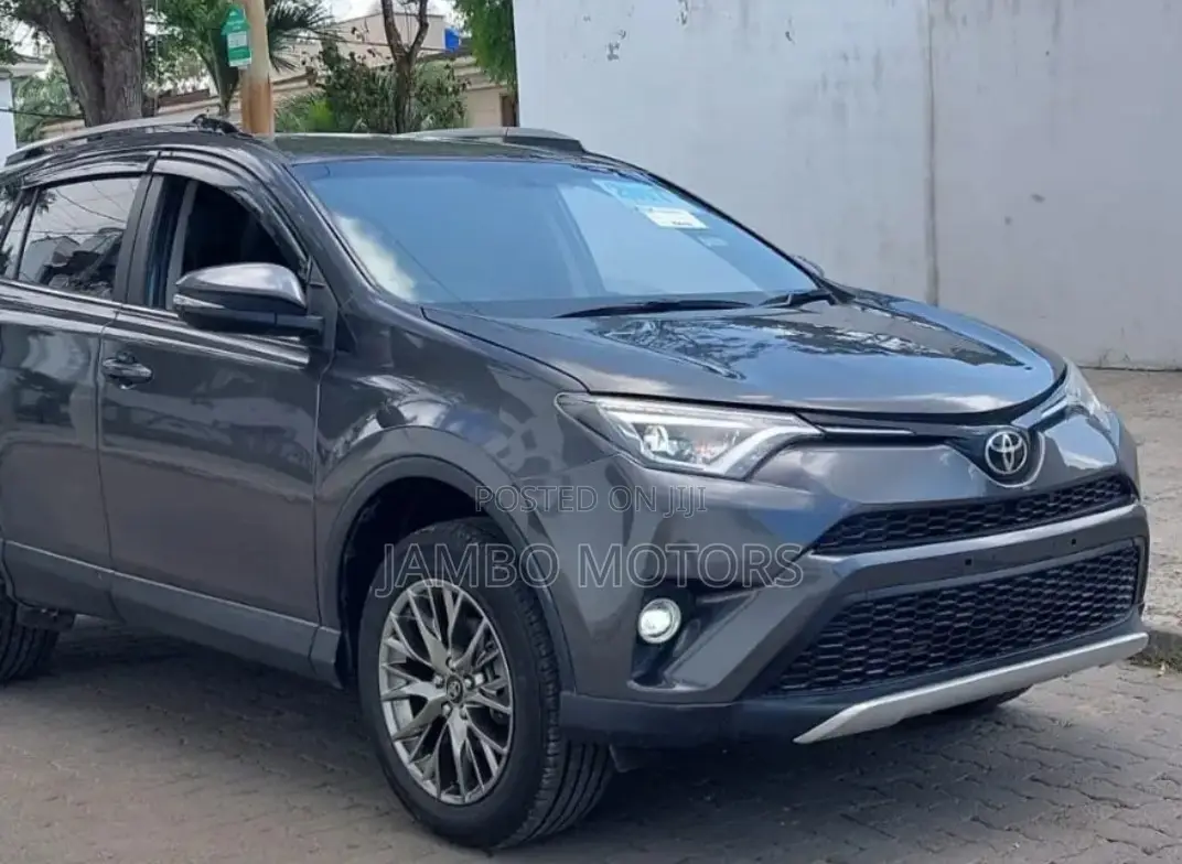 Toyota RAV4 2017 Gray
