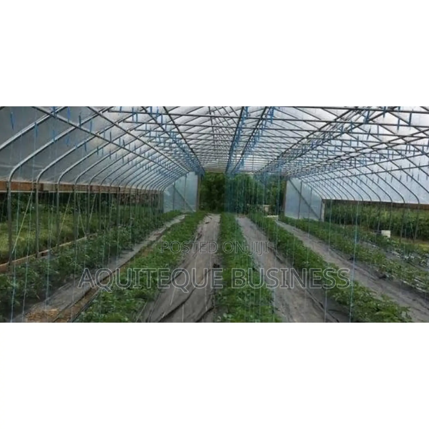 Flat Drip Line. 16mm