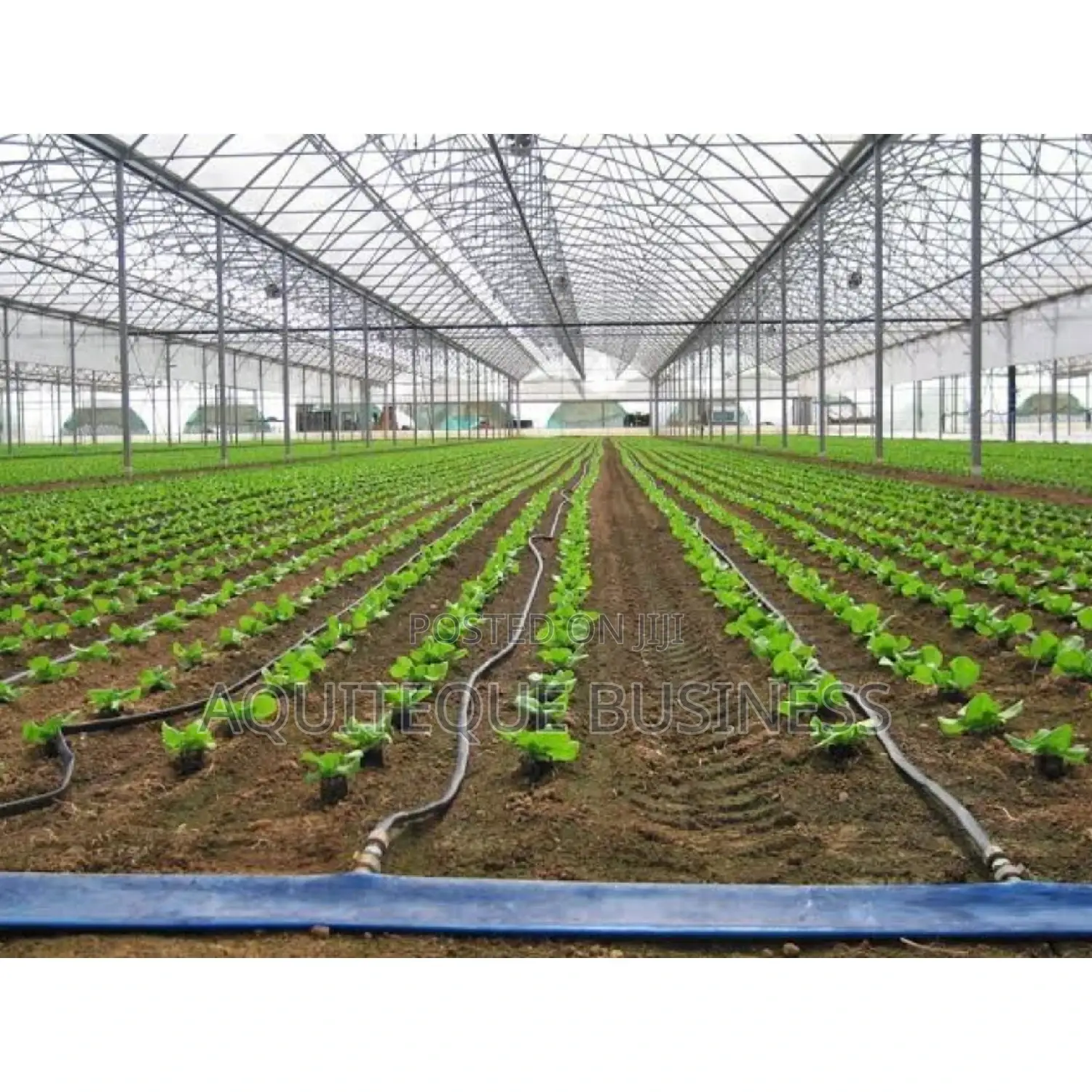 Flat Drip Line. 16mm. 1000M