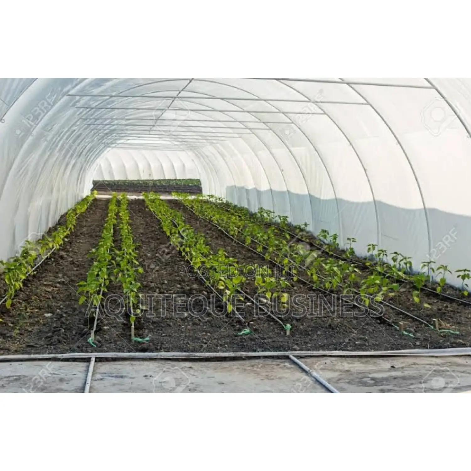 Agricultural Drip Line.