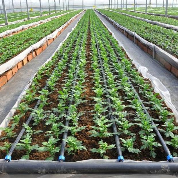 Flat Drip Line. 1000 Meters Long