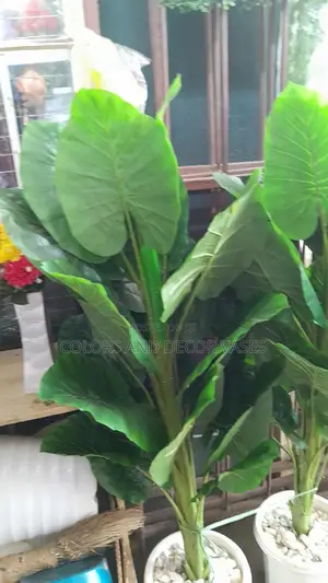 1.5m Green Plant