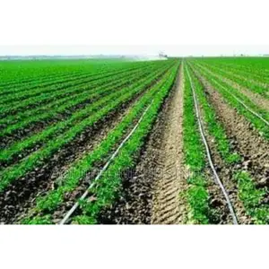 Agricultural Drip Line 0.4mm Thickness.