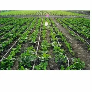 Flat Drip Line, 0.4mm Thickness