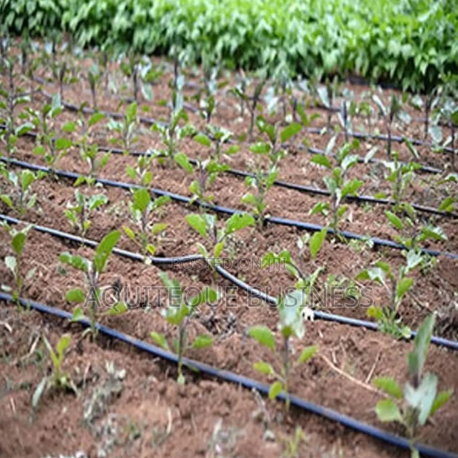Drip Line Irrigation Pipe. 0.3mm Thickness