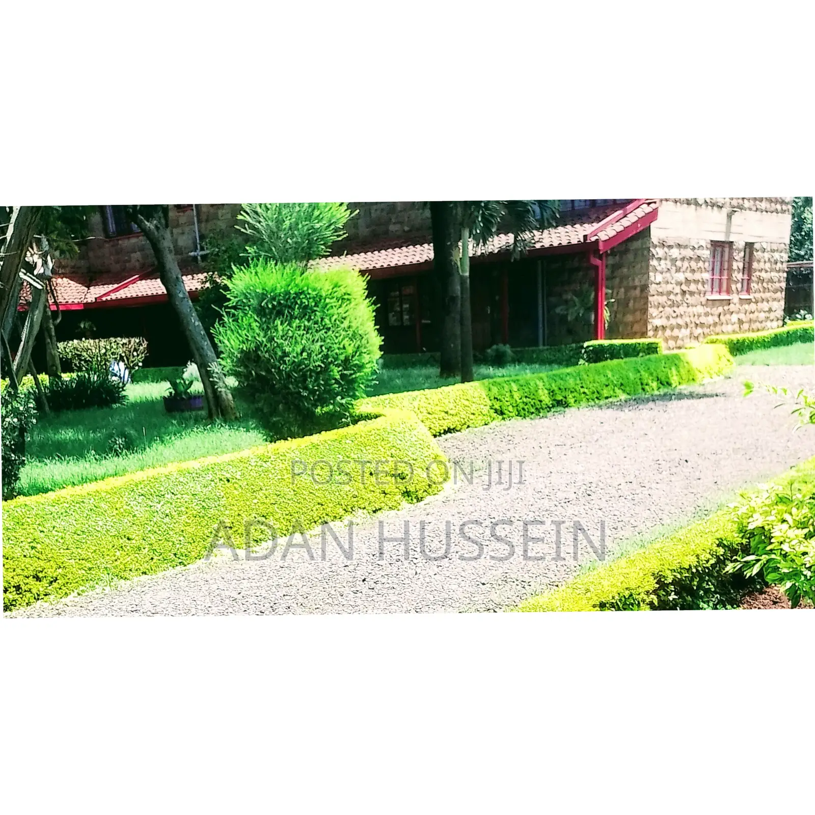 Lawn Care and Hedge Trimming Services