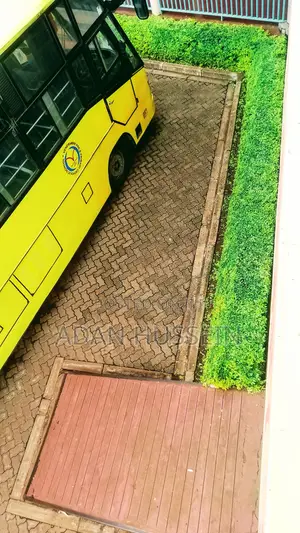 Lawn Care and Hedge Trimming Services