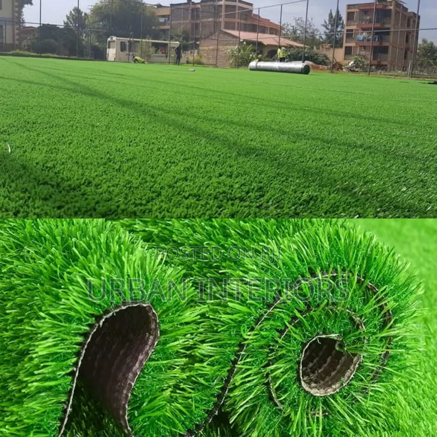 Grass Carpet Grass Carpet Grass Carpet Grass Carpet