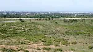 Dongo Kundu Bypass Prime Land! 
