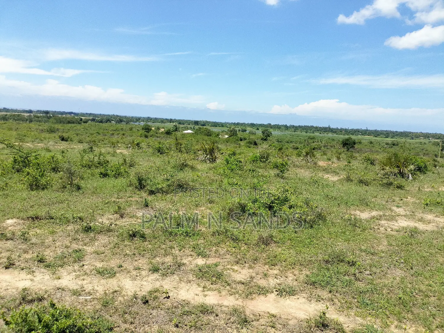 Dongo Kundu Bypass Prime Land! 