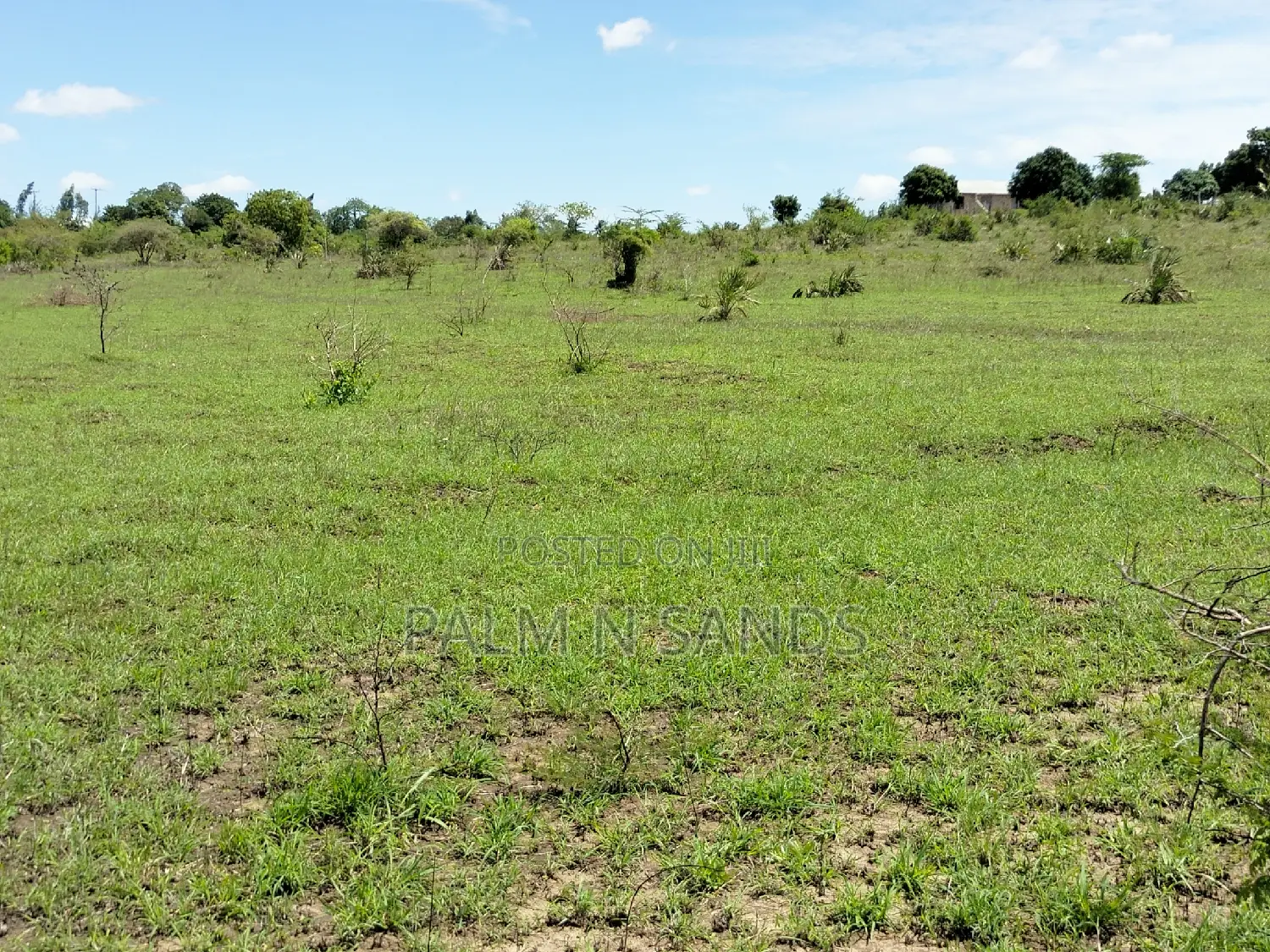 Dongo Kundu Bypass Prime Land! 