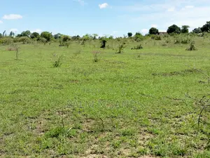 Dongo Kundu Bypass Prime Land! 