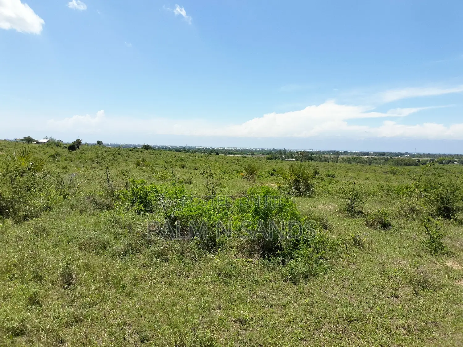 Dongo Kundu Bypass Prime Land! 