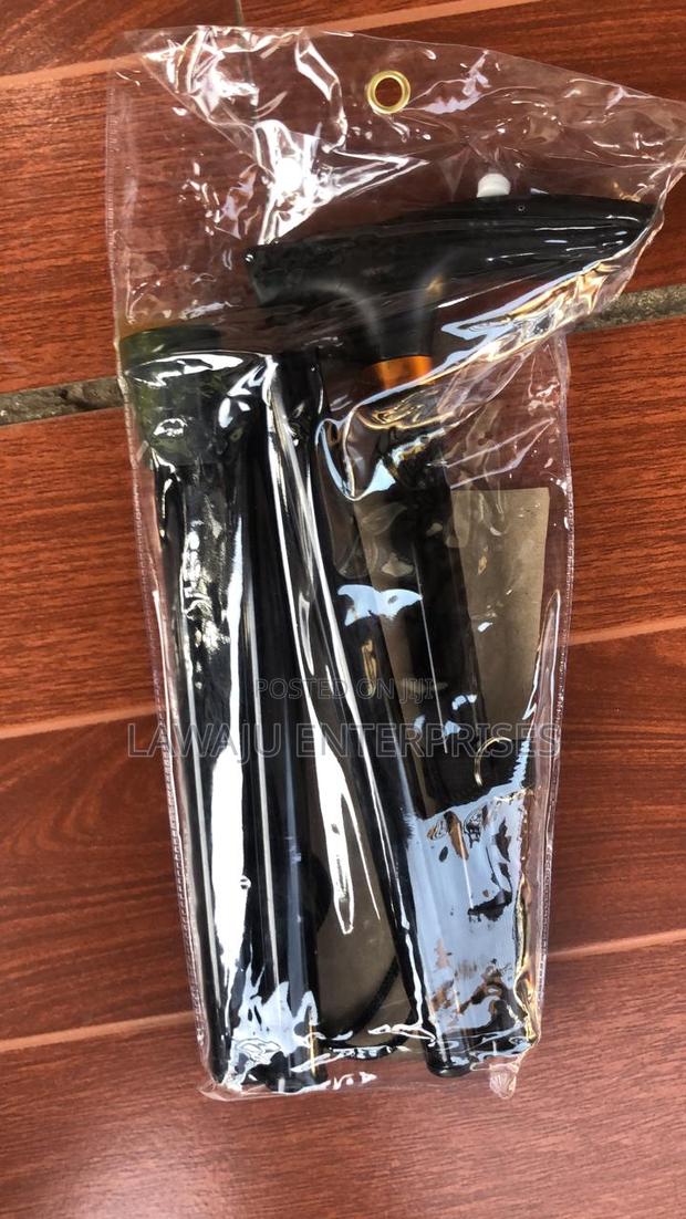 Walking Stick - main view