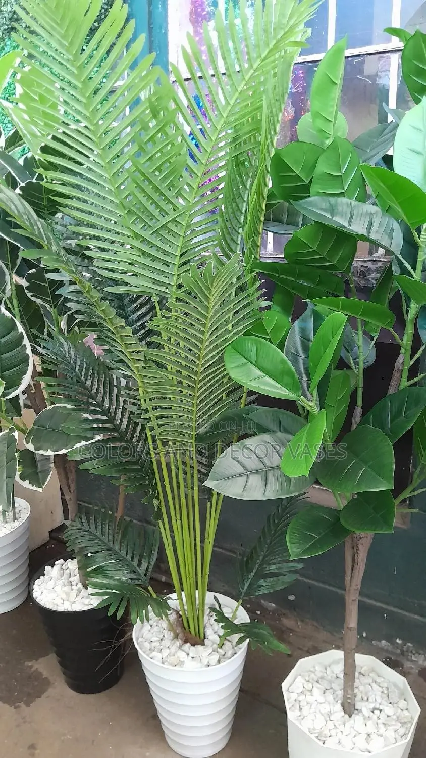Palm Tree 1.5m Long Vase And Stones
