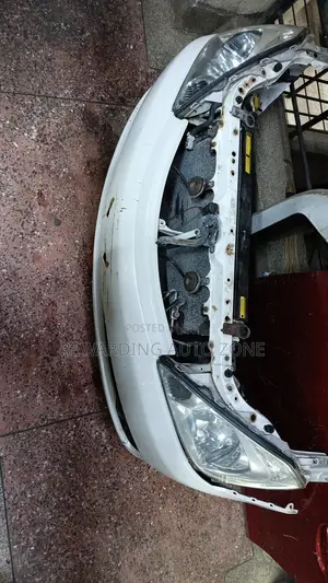 Allion 205 Nosecut Non Xenon