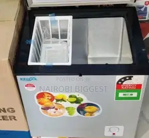 Ecomax 60litres Freezer