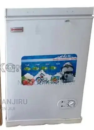 Premier Deep Freezer 100litres