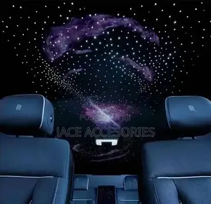 Fibre Optic Star Lights Decoration for Living Room
