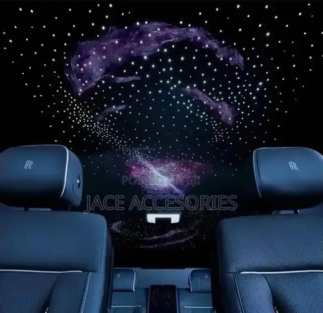 Fibre Optic Star Lights Decoration for Living Room