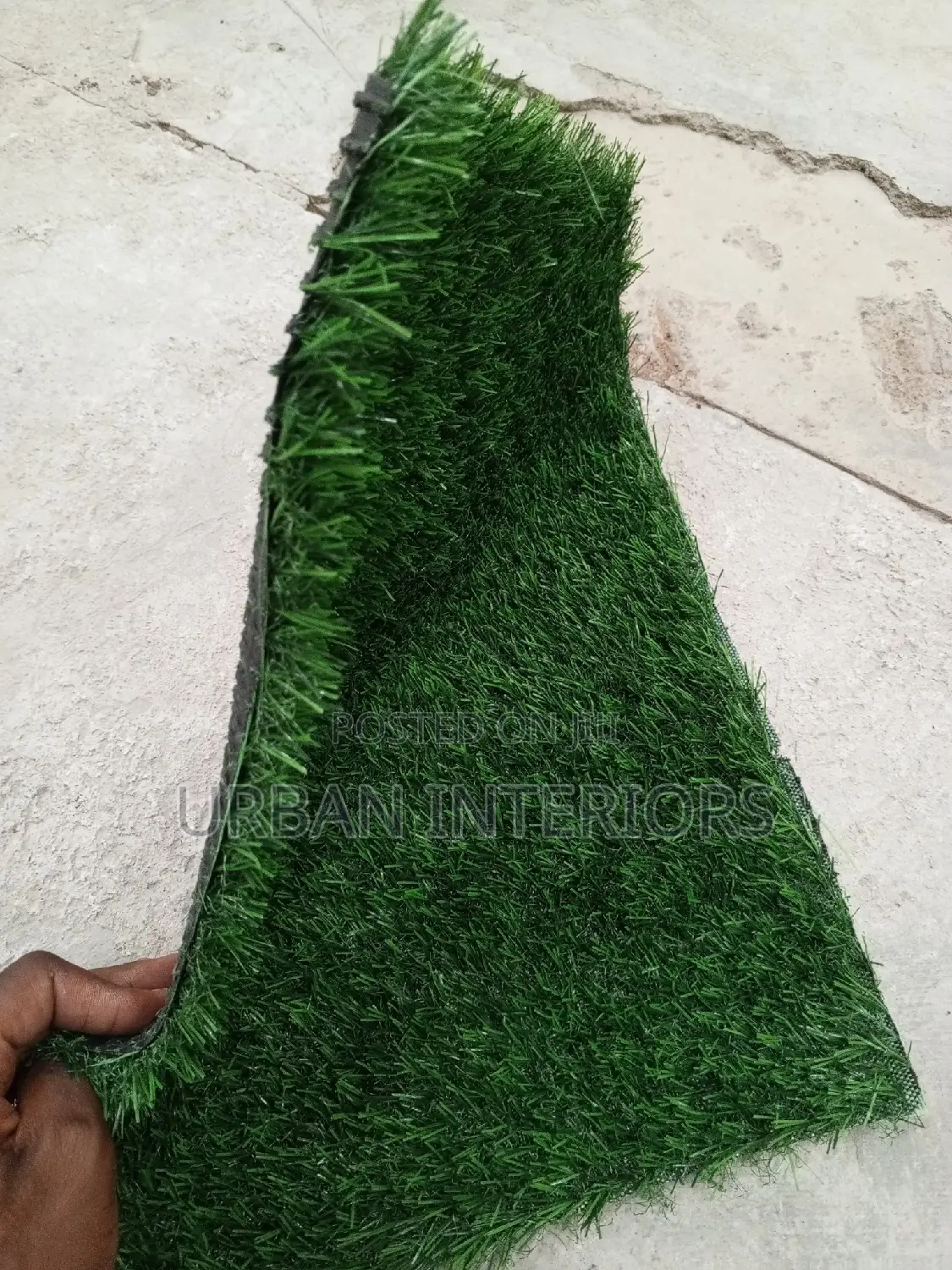 Grass Carpet Grass Carpet Grass Carpet Grass Carpet