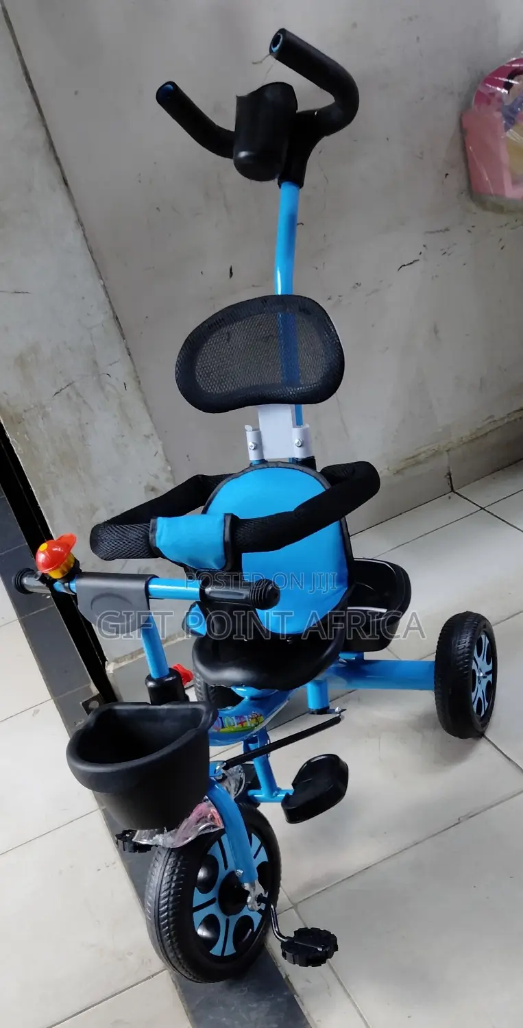 Push Handle Tricycle for Kids