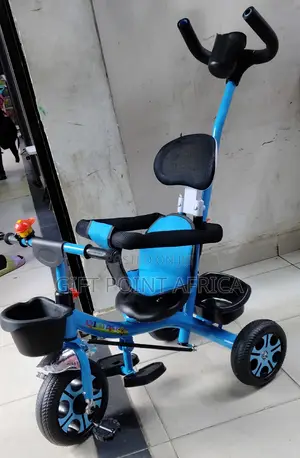 Blue Push Handle Kids Triacycle