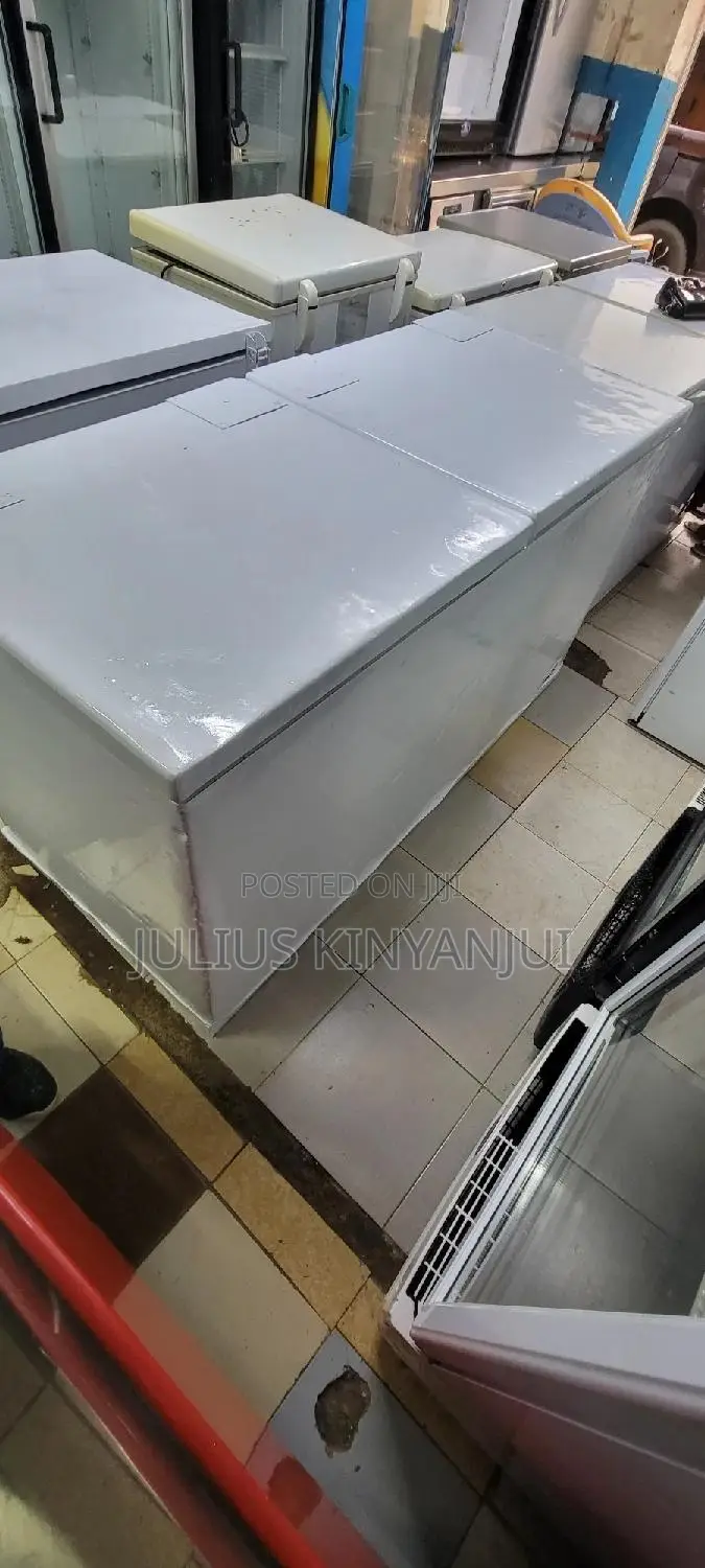 Double Door Freezer