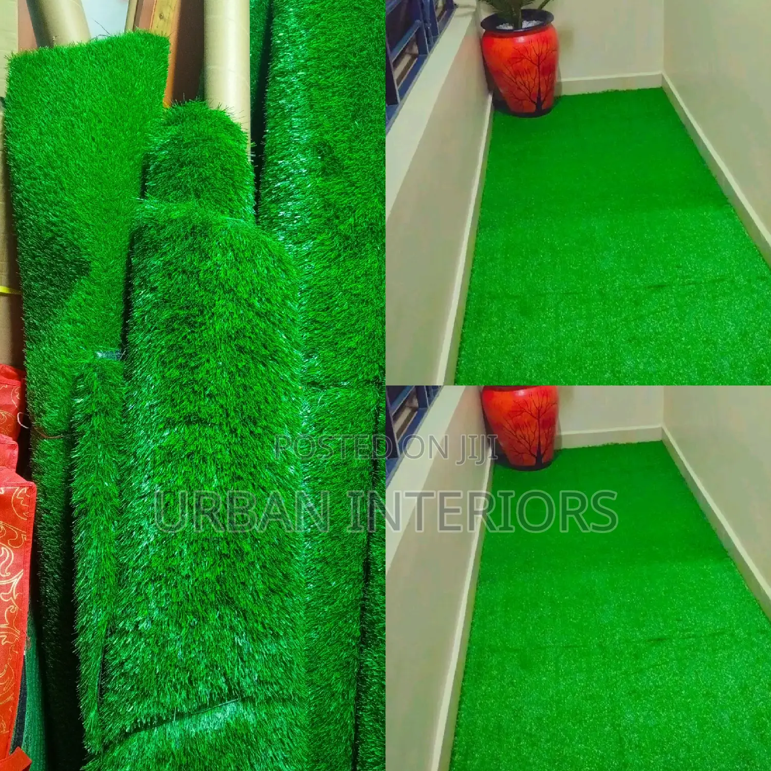 Grass Carpet Grass Carpet Grass Carpet Grass Carpet