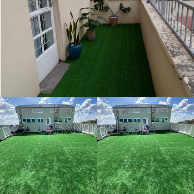 Grass Carpet Grass Carpet Grass Carpet Grass Carpet