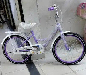 Size 20 Purple Lady Bird Bike