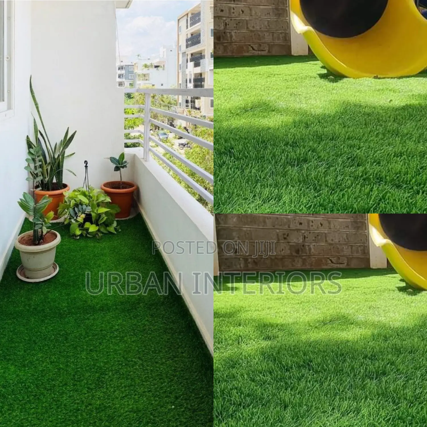 Grass Carpet Grass Carpet Grass Carpet Grass Carpet