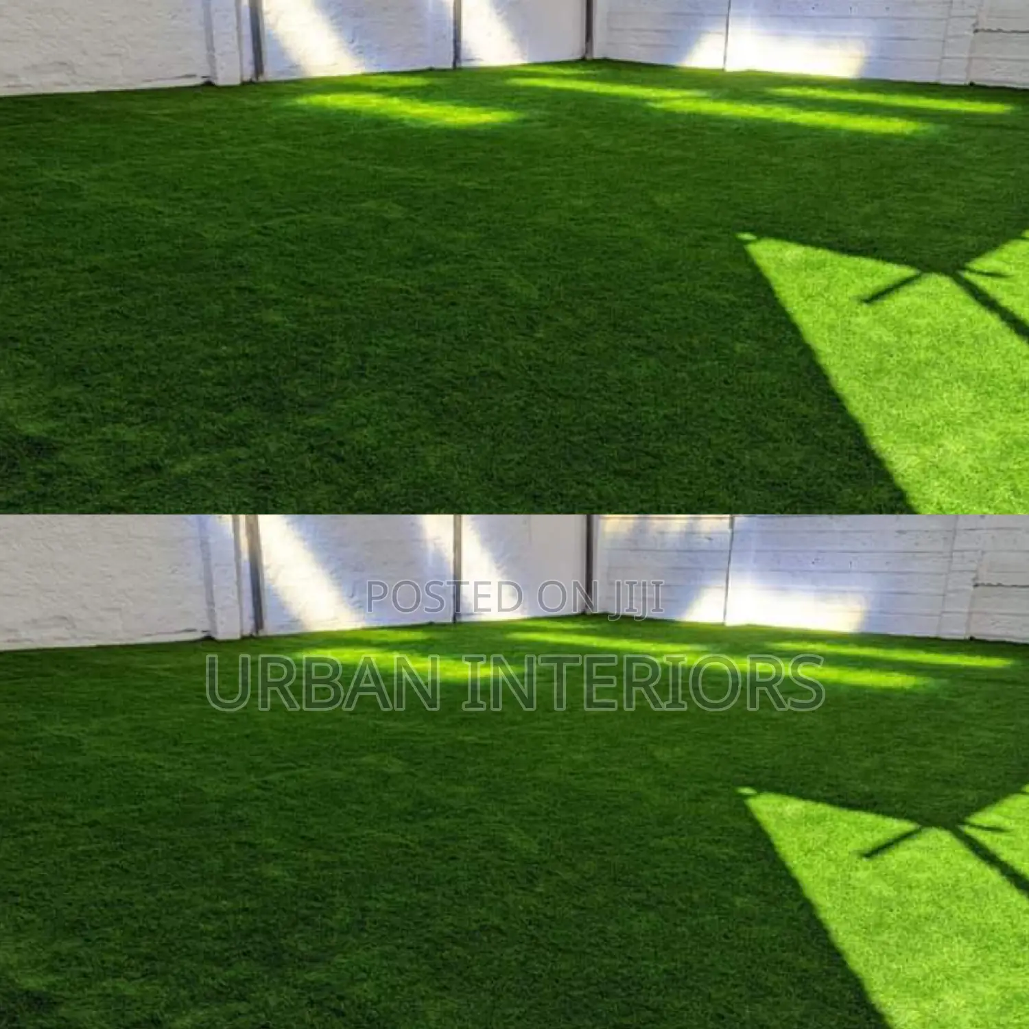 Grass Carpet Grass Carpet Grass Carpet Grass Carpet