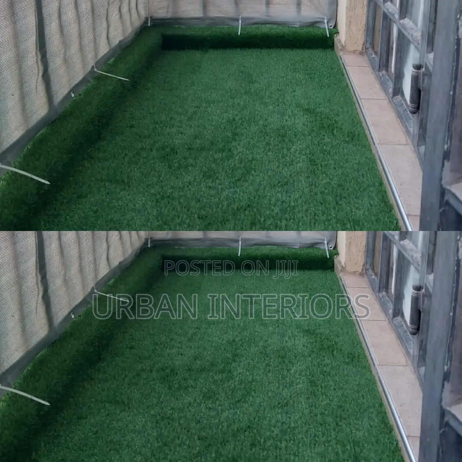 Grass Carpet Grass Carpet Grass Carpet Grass Carpet