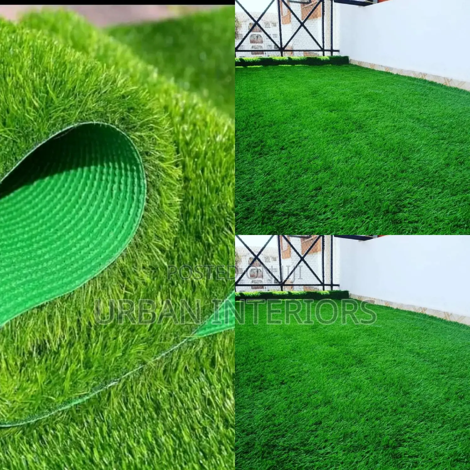 Grass Carpet Grass Carpet Grass Carpet Grass Carpet
