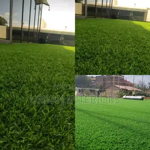 Grass Carpet Grass Carpet Grass Carpet Grass Carpet