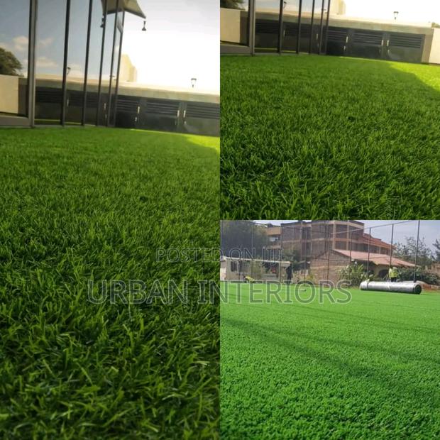 Grass Carpet Grass Carpet Grass Carpet Grass Carpet - main view